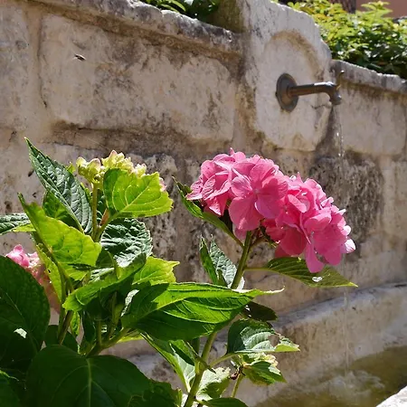 Fontana Vecchia Atina
